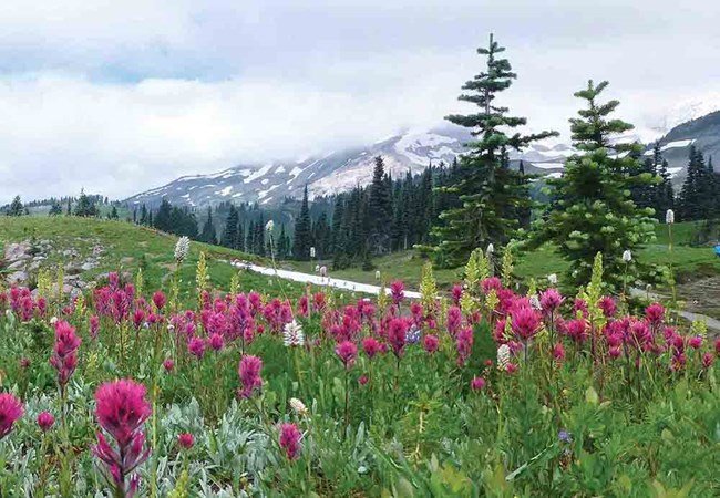 Places to visit Sangti Valley 