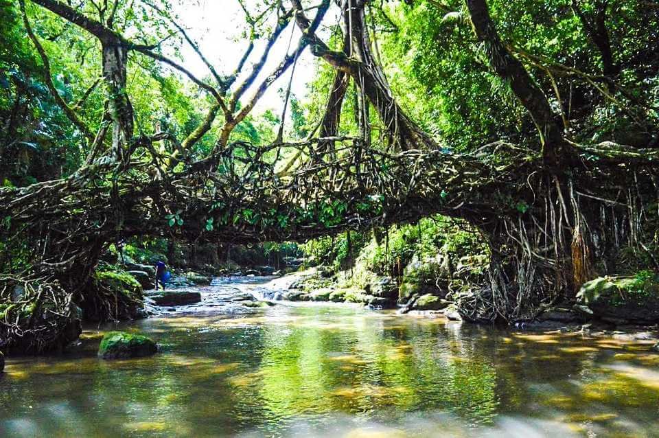 Journey to mawlynnong village