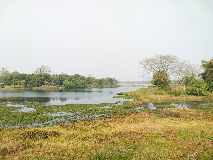 Majuli Island Nature Tour 