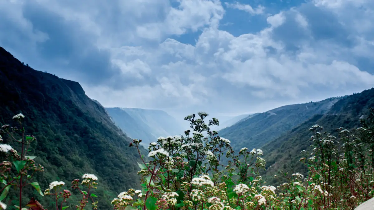 Shillong Nature Tour 