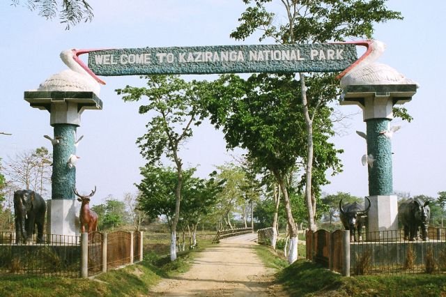 Kaziranga Wildlife Tour 